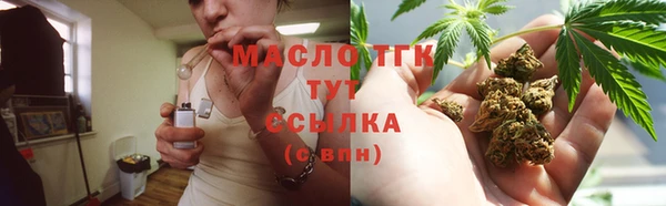 СК Бородино