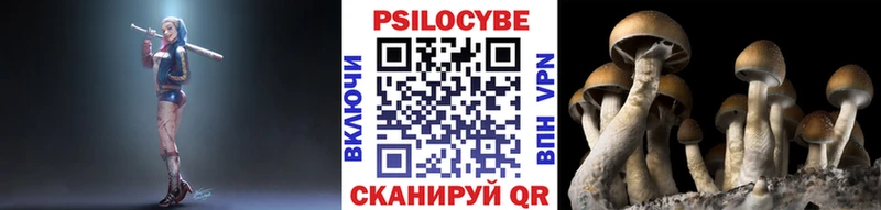 Псилоцибиновые грибы Magic Shrooms  закладки  Мытищи 